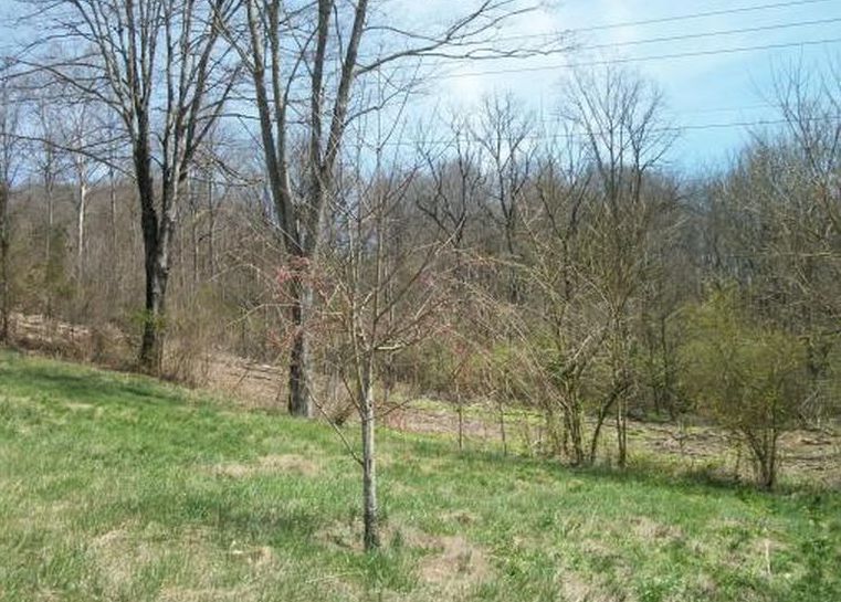 222 Meadow View Rd, Bristol TN Foreclosure Property