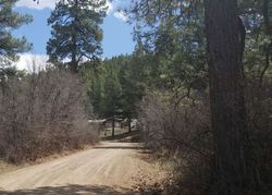 Pagosa Springs #28817244 Foreclosed Homes