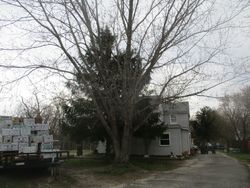 Richland #30431997 Foreclosed Homes