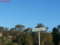  Dove Hollow Rd, Encinitas